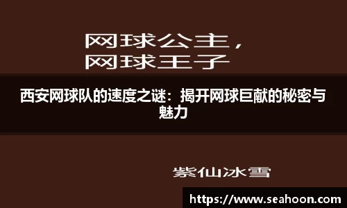 西安网球队的速度之谜：揭开网球巨献的秘密与魅力