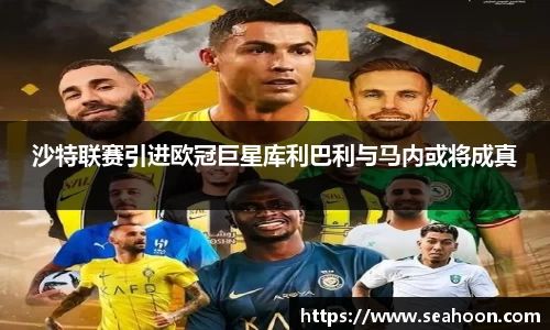 沙特联赛引进欧冠巨星库利巴利与马内或将成真
