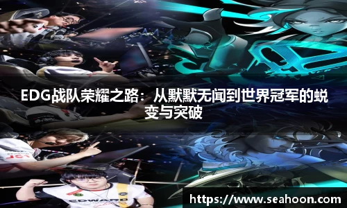 星空官网
