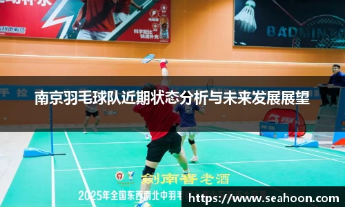 南京羽毛球队近期状态分析与未来发展展望
